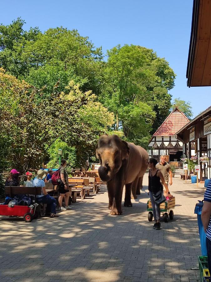 Tierpark Entdeckerhaeuser Wagenfeld Экстерьер фото