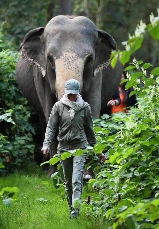 Tierpark Entdeckerhaeuser Wagenfeld Экстерьер фото