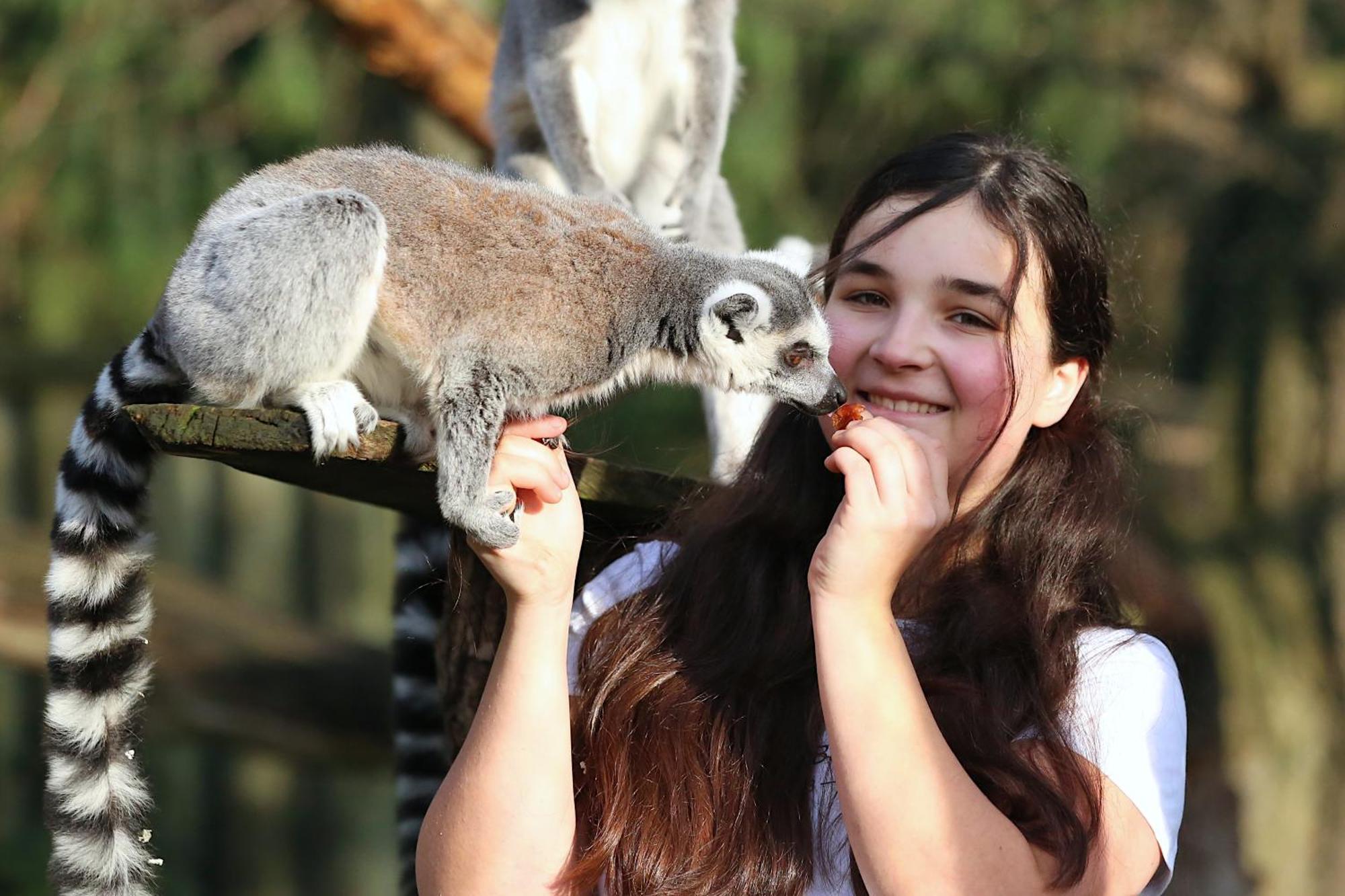 Tierpark Entdeckerhaeuser Wagenfeld Экстерьер фото