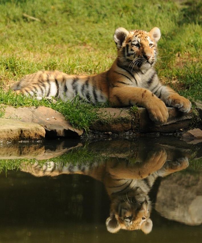 Tierpark Entdeckerhaeuser Wagenfeld Экстерьер фото